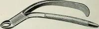 An illustration from Atlas and text-book of dentistry including diseases of the mouth / by Gustav Preiswerk. Edited by George W. Warren. (1906)