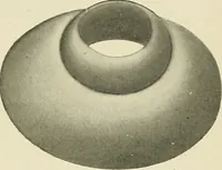An illustration from Obstetrics : a text-book for the use of students and practitioners / by J. Whitridge Williams ... with eight coloured plates and six hundred and thirty illustrations in the text. (1903)