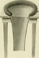 Picture 107 of 231 from Obstetrics : a text-book for the use of students and practitioners / by J. Whitridge Williams ... with eight coloured plates and six hundred and thirty illustrations in the text. (1903), leaf 335