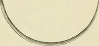 Picture 108 of 231 from Obstetrics : a text-book for the use of students and practitioners / by J. Whitridge Williams ... with eight coloured plates and six hundred and thirty illustrations in the text. (1903), leaf 349