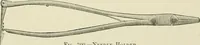 An illustration from Obstetrics : a text-book for the use of students and practitioners / by J. Whitridge Williams ... with eight coloured plates and six hundred and thirty illustrations in the text. (1903)