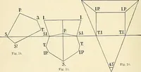An illustration from Obstetrics : a text-book for the use of students and practitioners / by J. Whitridge Williams ... with eight coloured plates and six hundred and thirty illustrations in the text. (1903)