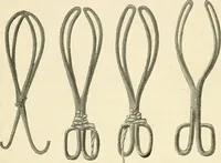 An illustration from Obstetrics : a text-book for the use of students and practitioners / by J. Whitridge Williams ... with eight coloured plates and six hundred and thirty illustrations in the text. (1903)