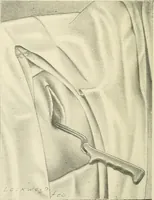Picture 119 of 231 from Obstetrics : a text-book for the use of students and practitioners / by J. Whitridge Williams ... with eight coloured plates and six hundred and thirty illustrations in the text. (1903), leaf 414