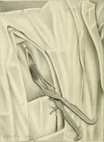 Picture 129 of 231 from Obstetrics : a text-book for the use of students and practitioners / by J. Whitridge Williams ... with eight coloured plates and six hundred and thirty illustrations in the text. (1903), leaf 422