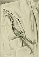 Picture 131 of 231 from Obstetrics : a text-book for the use of students and practitioners / by J. Whitridge Williams ... with eight coloured plates and six hundred and thirty illustrations in the text. (1903), leaf 423