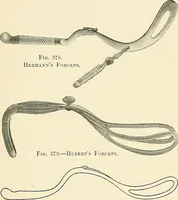 Picture 135 of 231 from Obstetrics : a text-book for the use of students and practitioners / by J. Whitridge Williams ... with eight coloured plates and six hundred and thirty illustrations in the text. (1903), leaf 428