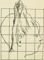An illustration from Obstetrics : a text-book for the use of students and practitioners / by J. Whitridge Williams ... with eight coloured plates and six hundred and thirty illustrations in the text. (1903)