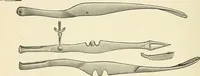 An illustration from Obstetrics : a text-book for the use of students and practitioners / by J. Whitridge Williams ... with eight coloured plates and six hundred and thirty illustrations in the text. (1903)