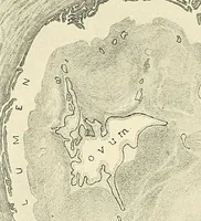 An illustration from Obstetrics : a text-book for the use of students and practitioners / by J. Whitridge Williams ... with eight coloured plates and six hundred and thirty illustrations in the text. (1903)