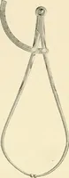 An illustration from Obstetrics : a text-book for the use of students and practitioners / by J. Whitridge Williams ... with eight coloured plates and six hundred and thirty illustrations in the text. (1903)