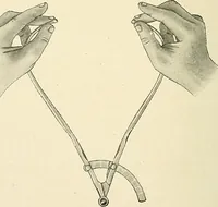 An illustration from Obstetrics : a text-book for the use of students and practitioners / by J. Whitridge Williams ... with eight coloured plates and six hundred and thirty illustrations in the text. (1903)