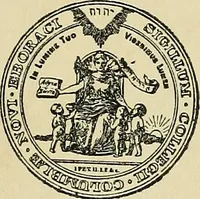 An illustration from A practical treatise on genito-urinary and venereal diseases and syphilis / By Robert W. Taylor. (1904)