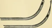 An illustration from A practical treatise on genito-urinary and venereal diseases and syphilis / By Robert W. Taylor. (1904)