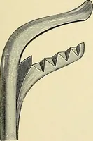 An illustration from A practical treatise on genito-urinary and venereal diseases and syphilis / By Robert W. Taylor. (1904)