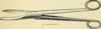An illustration from A practical treatise on genito-urinary and venereal diseases and syphilis / By Robert W. Taylor. (1904)