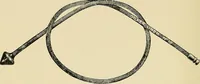 An illustration from A practical treatise on genito-urinary and venereal diseases and syphilis / By Robert W. Taylor. (1904)