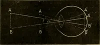 An illustration from A manual of physiology : with practical exercises / by G. N. Stewart ; with coloured plate and 467 other illustrations. (1914)