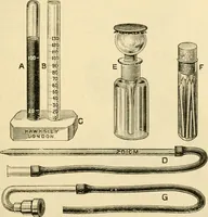 An illustration from A manual of physiology : with practical exercises / by G. N. Stewart ; with coloured plate and 467 other illustrations. (1914)
