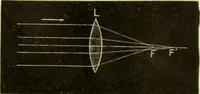 An illustration from A manual of physiology : with practical exercises / by G. N. Stewart ; with coloured plate and 467 other illustrations. (1914)