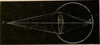 An illustration from A manual of physiology : with practical exercises / by G. N. Stewart ; with coloured plate and 467 other illustrations. (1914)