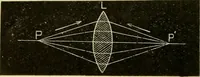 An illustration from A manual of physiology : with practical exercises / by G. N. Stewart ; with coloured plate and 467 other illustrations. (1914)