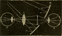 An illustration from A manual of physiology : with practical exercises / by G. N. Stewart ; with coloured plate and 467 other illustrations. (1914)