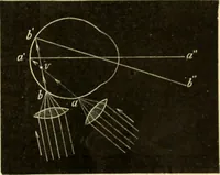 An illustration from A manual of physiology : with practical exercises / by G. N. Stewart ; with coloured plate and 467 other illustrations. (1914)
