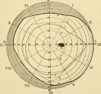 An illustration from A manual of physiology : with practical exercises / by G. N. Stewart ; with coloured plate and 467 other illustrations. (1914)