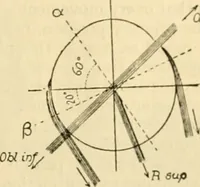 An illustration from A manual of physiology : with practical exercises / by G. N. Stewart ; with coloured plate and 467 other illustrations. (1914)