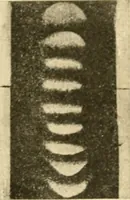 An illustration from A manual of physiology : with practical exercises / by G. N. Stewart ; with coloured plate and 467 other illustrations. (1914)