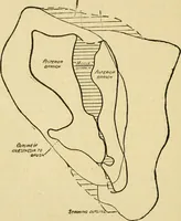 An illustration from A manual of physiology : with practical exercises / by G. N. Stewart ; with coloured plate and 467 other illustrations. (1914)