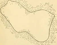 Picture 331 of 351 from A manual of physiology : with practical exercises / by G. N. Stewart ; with coloured plate and 467 other illustrations. (1914), leaf 1071