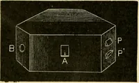 Picture 335 of 351 from A manual of physiology : with practical exercises / by G. N. Stewart ; with coloured plate and 467 other illustrations. (1914), leaf 1084