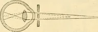 An illustration from A manual of physiology : with practical exercises / by G. N. Stewart ; with coloured plate and 467 other illustrations. (1914)