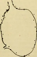 An illustration from A manual of physiology : with practical exercises / by G. N. Stewart ; with coloured plate and 467 other illustrations. (1914)