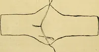 An illustration from A manual of physiology : with practical exercises / by G. N. Stewart ; with coloured plate and 467 other illustrations. (1914)