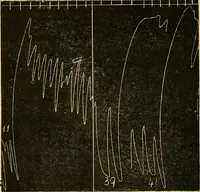 Picture 351 of 351 from A manual of physiology : with practical exercises / by G. N. Stewart ; with coloured plate and 467 other illustrations. (1914), leaf 1126
