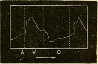 Picture 19 of 351 from A manual of physiology : with practical exercises / by G. N. Stewart ; with coloured plate and 467 other illustrations. (1914), leaf 115