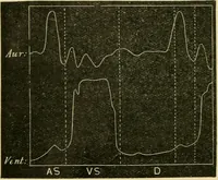 Picture 20 of 351 from A manual of physiology : with practical exercises / by G. N. Stewart ; with coloured plate and 467 other illustrations. (1914), leaf 116