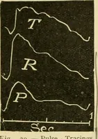 Picture 25 of 351 from A manual of physiology : with practical exercises / by G. N. Stewart ; with coloured plate and 467 other illustrations. (1914), leaf 128