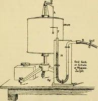 An illustration from A manual of physiology : with practical exercises / by G. N. Stewart ; with coloured plate and 467 other illustrations. (1914)