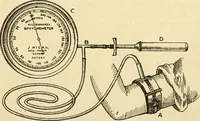 An illustration from A manual of physiology : with practical exercises / by G. N. Stewart ; with coloured plate and 467 other illustrations. (1914)