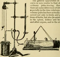 Picture 37 of 351 from A manual of physiology : with practical exercises / by G. N. Stewart ; with coloured plate and 467 other illustrations. (1914), leaf 152