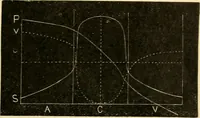 Picture 40 of 351 from A manual of physiology : with practical exercises / by G. N. Stewart ; with coloured plate and 467 other illustrations. (1914), leaf 155