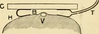 An illustration from A manual of physiology : with practical exercises / by G. N. Stewart ; with coloured plate and 467 other illustrations. (1914)