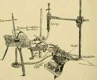 An illustration from A manual of physiology : with practical exercises / by G. N. Stewart ; with coloured plate and 467 other illustrations. (1914)