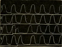An illustration from A manual of physiology : with practical exercises / by G. N. Stewart ; with coloured plate and 467 other illustrations. (1914)