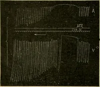 Picture 49 of 351 from A manual of physiology : with practical exercises / by G. N. Stewart ; with coloured plate and 467 other illustrations. (1914), leaf 182