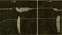 Picture 50 of 351 from A manual of physiology : with practical exercises / by G. N. Stewart ; with coloured plate and 467 other illustrations. (1914), leaf 183